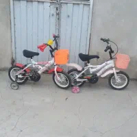 دوعدد دوچرخه ۱۲