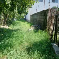 زمین-بین-تنکه-کابن-رامسر-روستای-مازالانگاسر