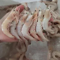 فروش ماهی و میگو مطاف صید روز|خوردنی و آشامیدنی|اصفهان, آبشار|دیوار