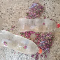 گل‌و‌گلاب