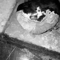 سلام اماتیس عقیق موکل دار فسیل هبحاب توافقی|جواهرات|مشهد, عسگریه|دیوار