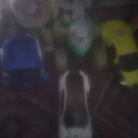 ۵عدد اسباب بازی باطری خور