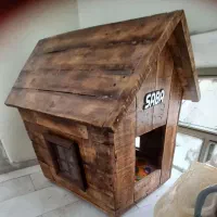 لانه گربه و سگ