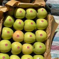 سیب لوکس ترگور|خوردنی و آشامیدنی|صومای برادوست, |دیوار