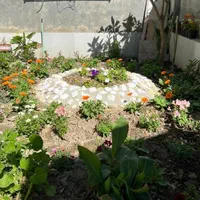 اجاره روزانه/هفتگی/ماهانه ویلا ۸۵ متری