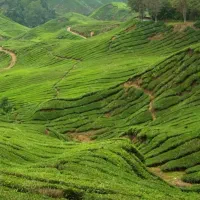 خوابگاه برای کسی که جای خواب نداره رایگان