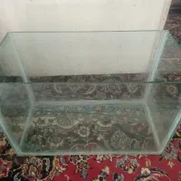 آکواریوم ماهی