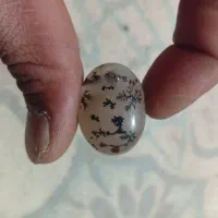 شجر|جواهرات|کرمان, |دیوار