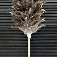 گردگیر شترمرغ عمده|لوازم نظافت|بانه, |دیوار