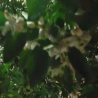 راهنمایی برای کاهش وزن