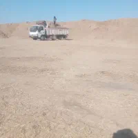 کاه نیشکر مخصوص گاو وگوسفند