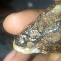 فروش شهاب سنگ نایاب|کلکسیون اشیاء عتیقه|تهران, چیتگر جنوبی|دیوار