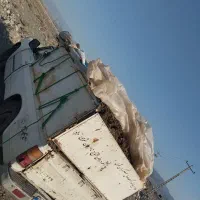 کود  مرغ نیسانی جیرفت عنبرآباد و حومه