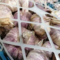 سیربذری|خوردنی و آشامیدنی|شیراز, شهرک نیروی انتظامی|دیوار