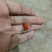 سنگ|کلکسیون اشیاء عتیقه|زاهدان, |دیوار