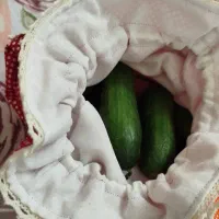 کیسه سبزی فانتزی پنلی