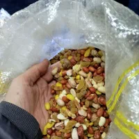 پخش آجیل ب صورت کلی و جزئی|خوردنی و آشامیدنی|محمدشهر, سیدآباد|دیوار