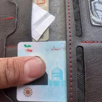 پیدا شده