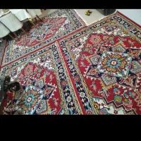 فرش شش متری طرح هریس