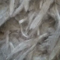 فرش گرد|فرش|اصفهان, مولوی|دیوار