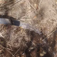 زمین کشاورزی مزرعه|فروش دفتر صنعتی، کشاورزی، تجاری|خرقان, |دیوار