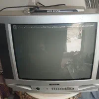 تلویزیون