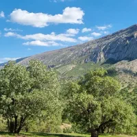 گوشی گلکسی اس 21 افی 5g حافظه 256