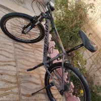 دوچرخه اورلرد