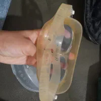 عینک شنا دلفین  اصلی معاوضه با ماهی گوشتخوار