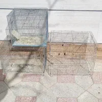 قفس در حد|لوازم جانبی حیوانات|سبزوار, توحیدشهر|دیوار