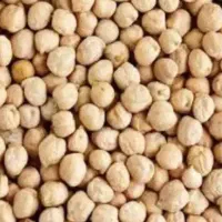 نخود سفید بهاره درجه یک  بذری پایه بلند.کشت ابی