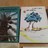 کتاب ادبی رمان و غیره|کتاب و مجله ادبی|شیراز, سفیرشمالی|دیوار