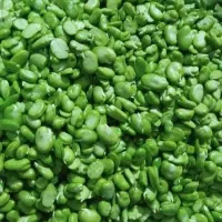 انواع سبزیجات