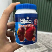 غذای ماهی دیسکس، آنجل، گورامی