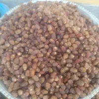خرما