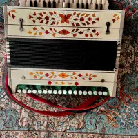 آموزش تخصصی آکاردئون قارمون و ارگ کاملا تضمینی|پیانو، کیبورد، آکاردئون|اردبیل, |دیوار