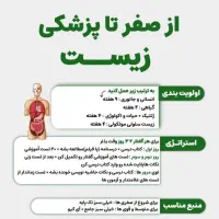 تدریس تمامی دروس همه پایه ها|خدمات آموزشی|ایرانشهر, |دیوار
