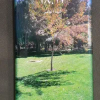 غول پرچم دار هواوی میت۳۰پرو...|موبایل|سقز, |دیوار