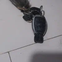 دسته کلید پیدا شده