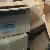 کارتن