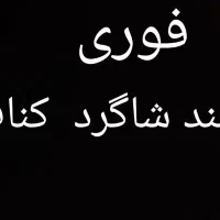 فوری نیازمند شاگرد کناف