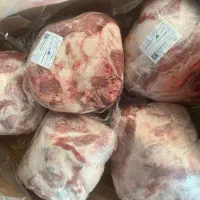 دنبه قیمت مناسب