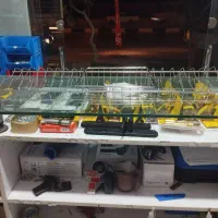 یراق آلات کابینت|مصالح و تجهیزات ساختمان|شیراز, محراب|دیوار