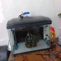 اکواریوم