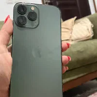 سیزده مکس سبز ۲۵۶گیگ