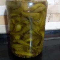 انواع ترشی|خوردنی و آشامیدنی|فیروزآباد (فارس), |دیوار