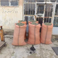 پونه درجه یک|خوردنی و آشامیدنی|گیلان غرب, |دیوار