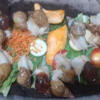 حلزون سیب وآلبینو واسکارگوت