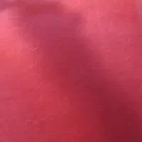 موکت
