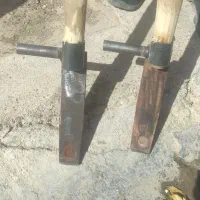 کنگر چین ، بیلکون ، بیلک